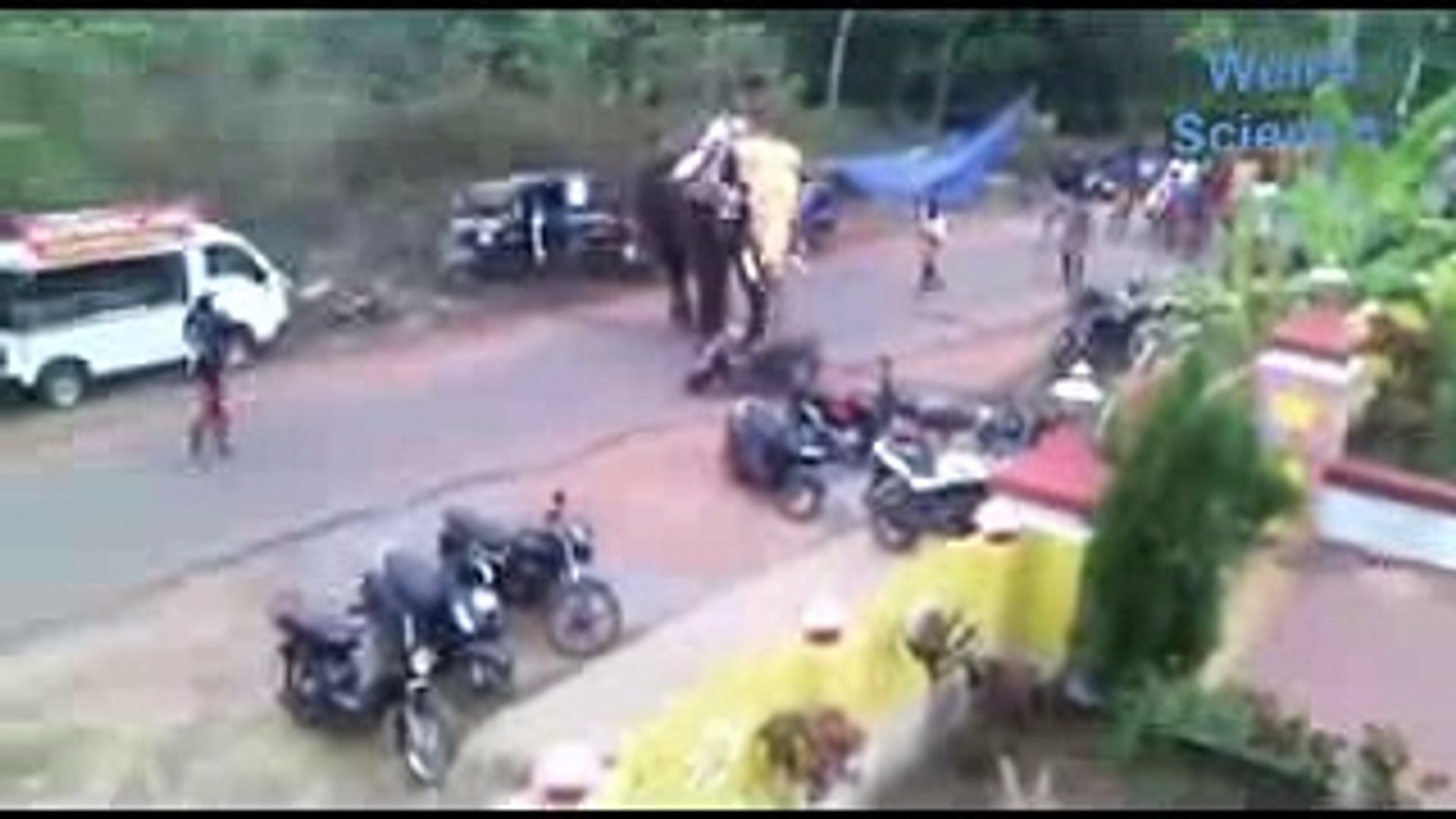 ⁣Top 10 Elephant Attacks - Elephants attack peoples