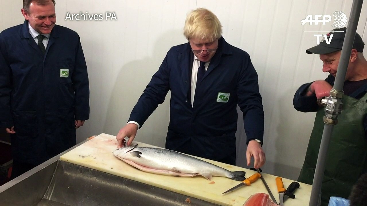 Boris Johnson renonce à succéder à David Camero...
