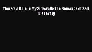 Download There's a Hole in My Sidewalk: The Romance of Self-Discovery PDF Free