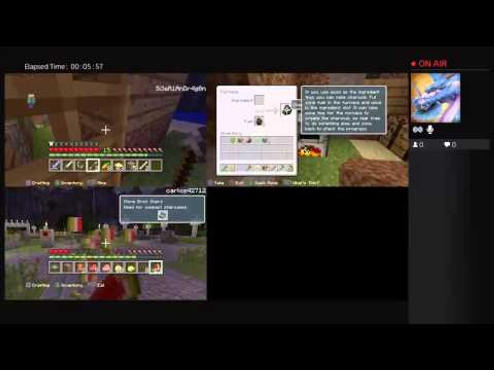 Minecraft trll