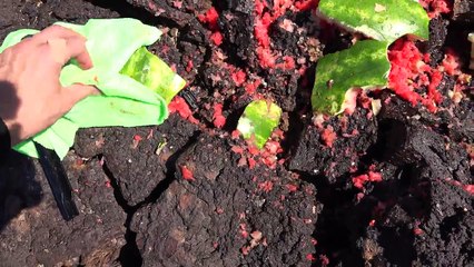 What's inside a Black Box?