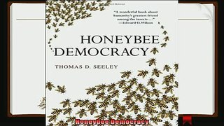 different   Honeybee Democracy