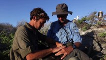 Extrait du film “Independence days - Sur les traces des jeunes prédateurs marins”-HD