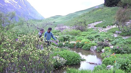 Jardin Alpin du Lautaret : Une offre touristique intelligente