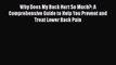 Read Why Does My Back Hurt So Much?: A Comprehensive Guide to Help You Prevent and Treat Lower