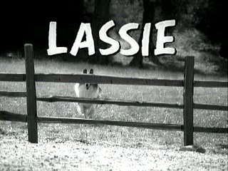The Dog Lassie - Security Technologies | Funny Video | Funny Clips