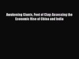Read Awakening Giants Feet of Clay: Assessing the Economic Rise of China and India Ebook Free