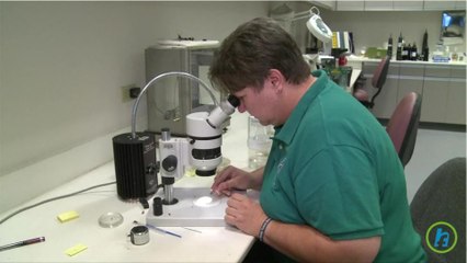 Texas Preparing for Zika Virus