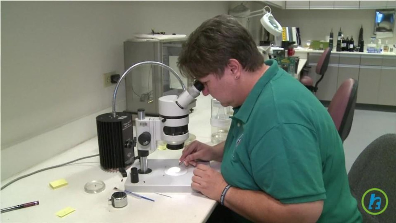 Texas Preparing for Zika Virus