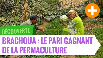 Brachoua : le pari gagnant de la permaculture