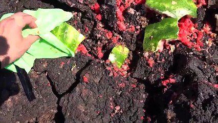 sobre que es una caja negra