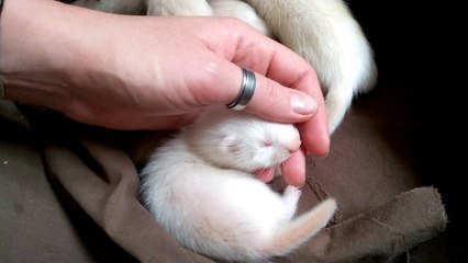 Tryo J+27: premiers jeux