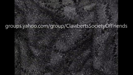 Fabric Pattern Video