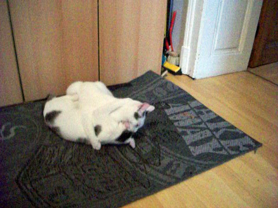 Harvey und Vinzent am 30.06.2016