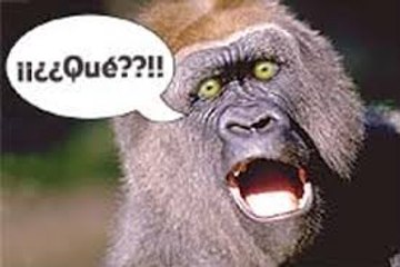 Me Bajan los Subs 600 - 155 500