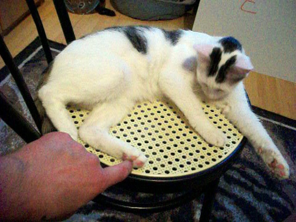 Vinzent am 30.06.2016