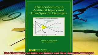 For you  The Economics of Antitrust Injury and FirmSpecific Damages