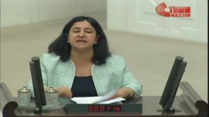Bakan Salondan Ayrıldı, Meclis'te Tansiyon Yükseldi 4