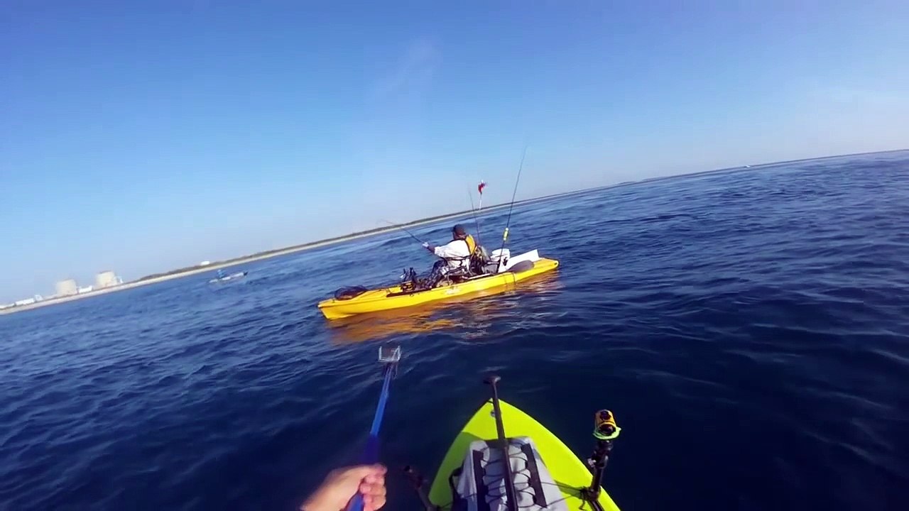 Il filme un requin se faire couper en deux et bouffer par un requin géant