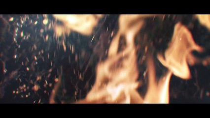 Hennessy : V.S.O.P Privilege  Harmony