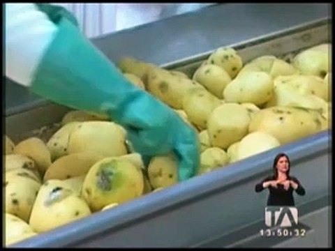 Técnicos internacionales capacitaron a agricultores