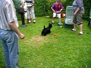 bout de zan du moulin de mac gregor
