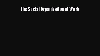 Read The Social Organization of Work Ebook Online