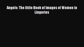 PDF Angels: The little Book of Images of Women in Lingeries  Read Online