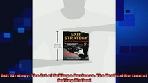 READ book  Exit Strategy The Art of Selling a Business The Vertical Horizontal Selling Method Full Free