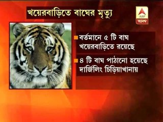 Tiger death at Khayebari tiger rehabilitation project at Doars