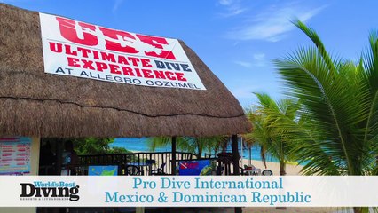 World's Best Diving: Pro Dive International