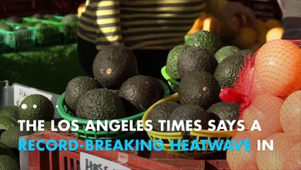 This year's Fourth of July celebrations could be guac-less