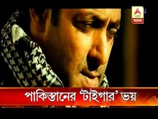 Promotion of Ek Tha Tiger has been banned in Pakistan