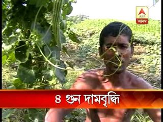 Reason for rise of vegetables from wholesale market to daily market