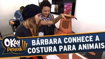 Bárbara Koboldt conhece as costuras para roupas de animais