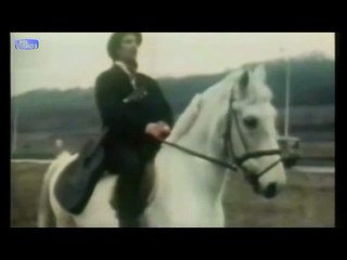 Saban Bajramovic - Geljam dade