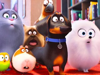 4 Crazy Things Your Pet Might Do When You're Away