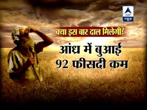 Prices of pulses to be costlier this season