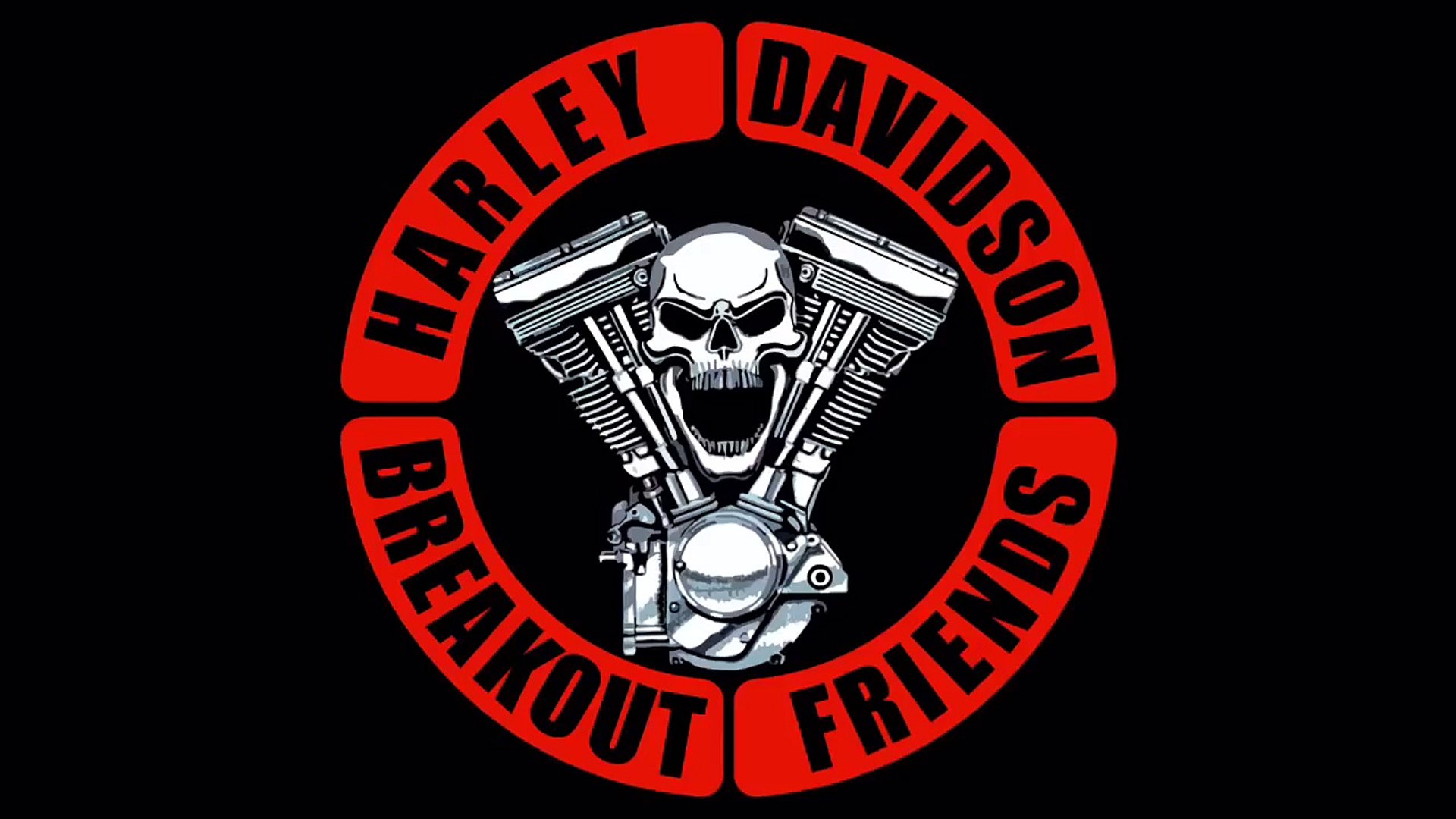 Harleyyy and friends