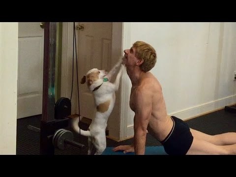 Cute Dog Joins Owner in Daily Yoga Routine