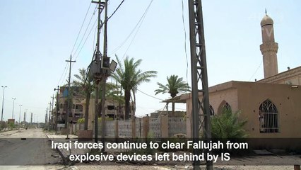 Iraqi forces clear Fallujah from explosive devices left by IS