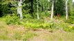 Lots And Land for sale - Lot 2 N. Main RD, Morrill, ME 04952