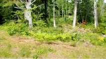 Lots And Land for sale - Lot 2 N. Main RD, Morrill, ME 04952