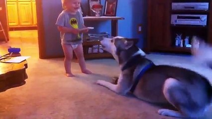 TOP VIRAL VIDEOS OF WEEK HD