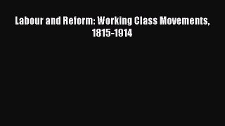 [PDF] Labour and Reform: Working Class Movements 1815-1914 Read Full Ebook