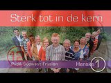 Spotje Pvda Sudwest Frysland verkiezingen 24 -11-10