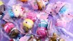 Rilakkuma Sweets, Kapibarasan Head Buns, Pom Pom Purin Donut Squishies! | CharmsLOL