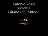Antonio Rosas en GITANOS DEL MUNDO Cumbre Flamenca 26 Nov. 2008