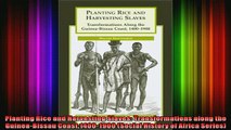 READ book  Planting Rice and Harvesting Slaves Transformations along the GuineaBissau Full Free