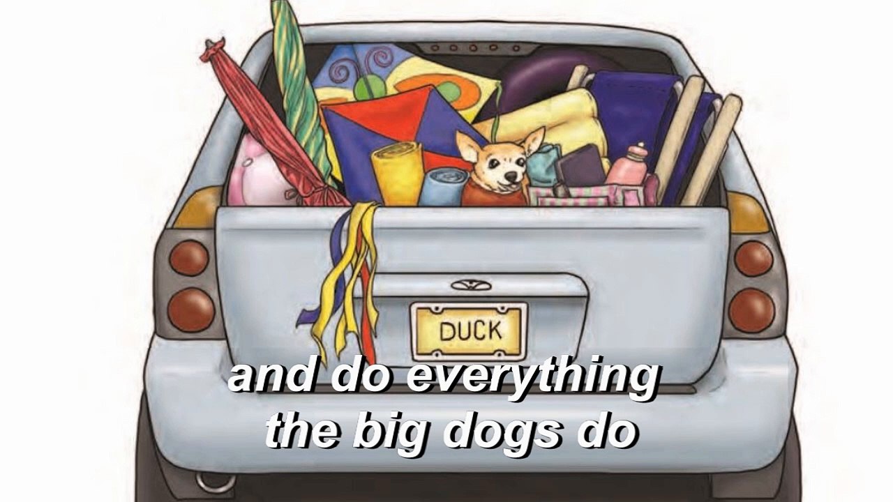 Book Video Trailer: Saving Petunia by Janice Kingsbury
